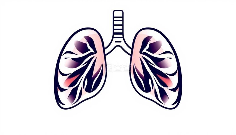 中医养肺五大方法对比：数据告诉你哪种最有效