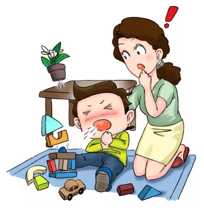 呼吸系统模型：构建理解肺部健康的桥梁