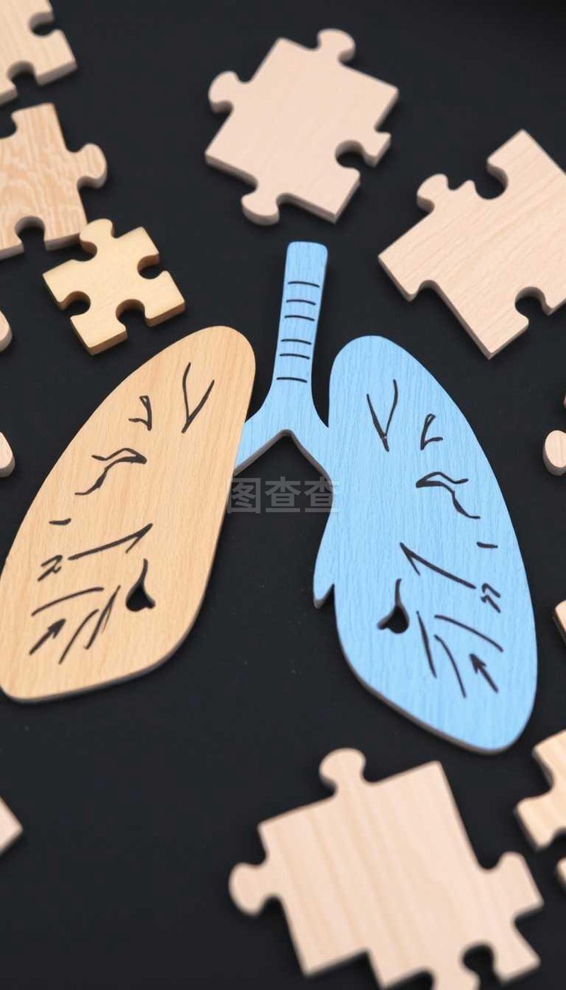 肺功能怎么调理?2026年,从“呼吸力学”到“细胞能量”的全面跃升